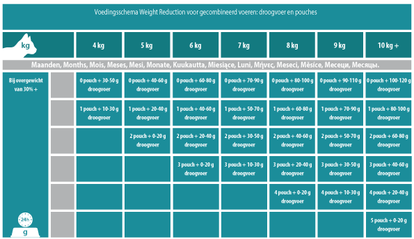 voedingsschema renal kat voedingsschema renal kat