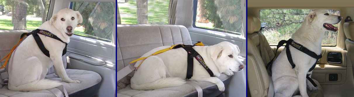 ruff rider roadie ruff rider roadie