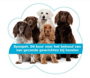 synopet hond