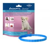 Adaptil-Junior-Halsband-puppy