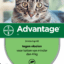 Advantage Kat