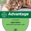 Advantage Kat