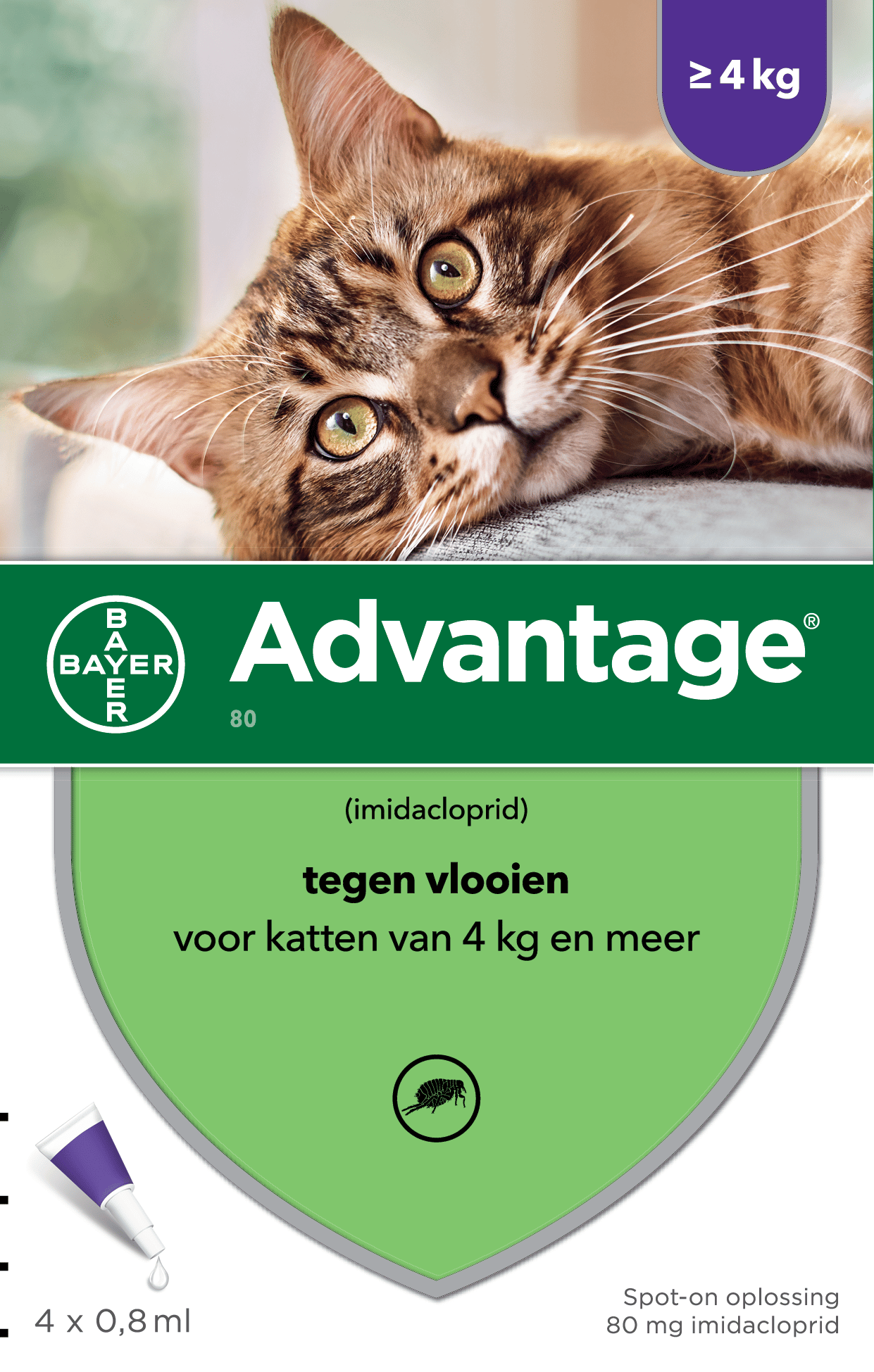 Rust uit helling patroon Advantage Kat kopen voor jouw kat | Al 15 jaar ervaring!