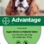 Advantage Hond