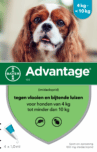 Advantage hond