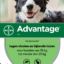 Advantage Hond