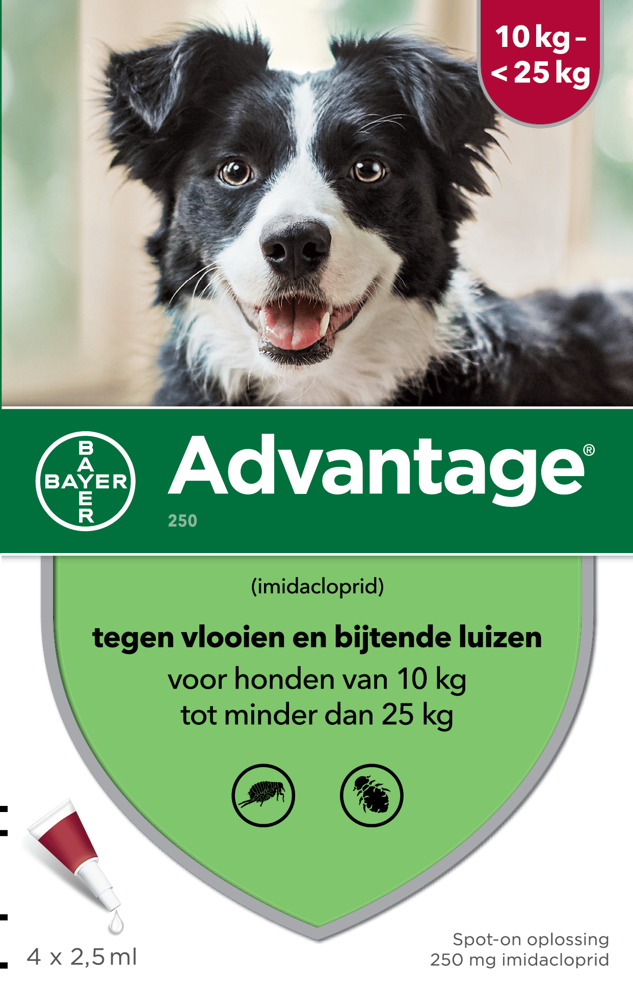 Advantage Hond-4