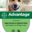 Advantage Hond