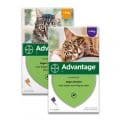 advantage-kat-40-80-ontvlooien-vlooien-katten-kitten