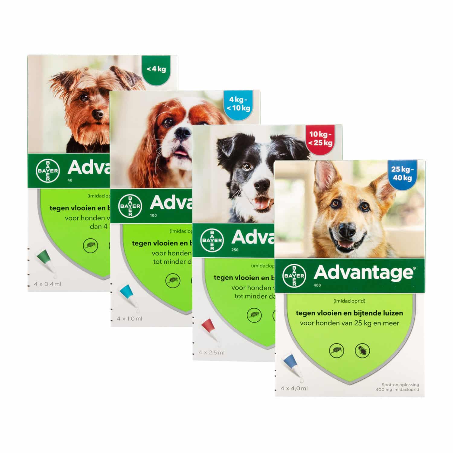 Advantage Hond-1