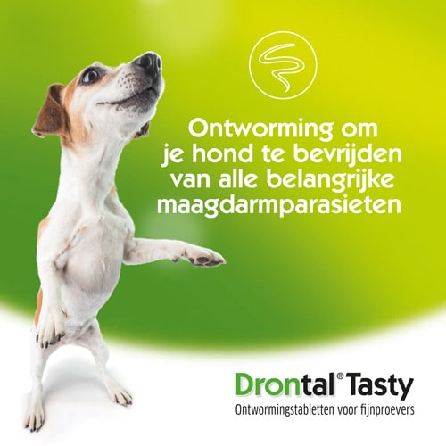 Drontal Dog Tasty-5