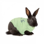 MPS-medical-pet-shirt-konijnen-alternatief-kraag