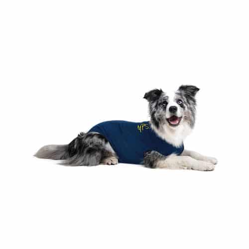 Medical-pet-shirt Medical pet shirt hond XXL (80 - 82 cm)
