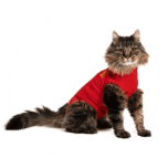 Medical-pet-shirt-kat-vervanging-bandage-kraag