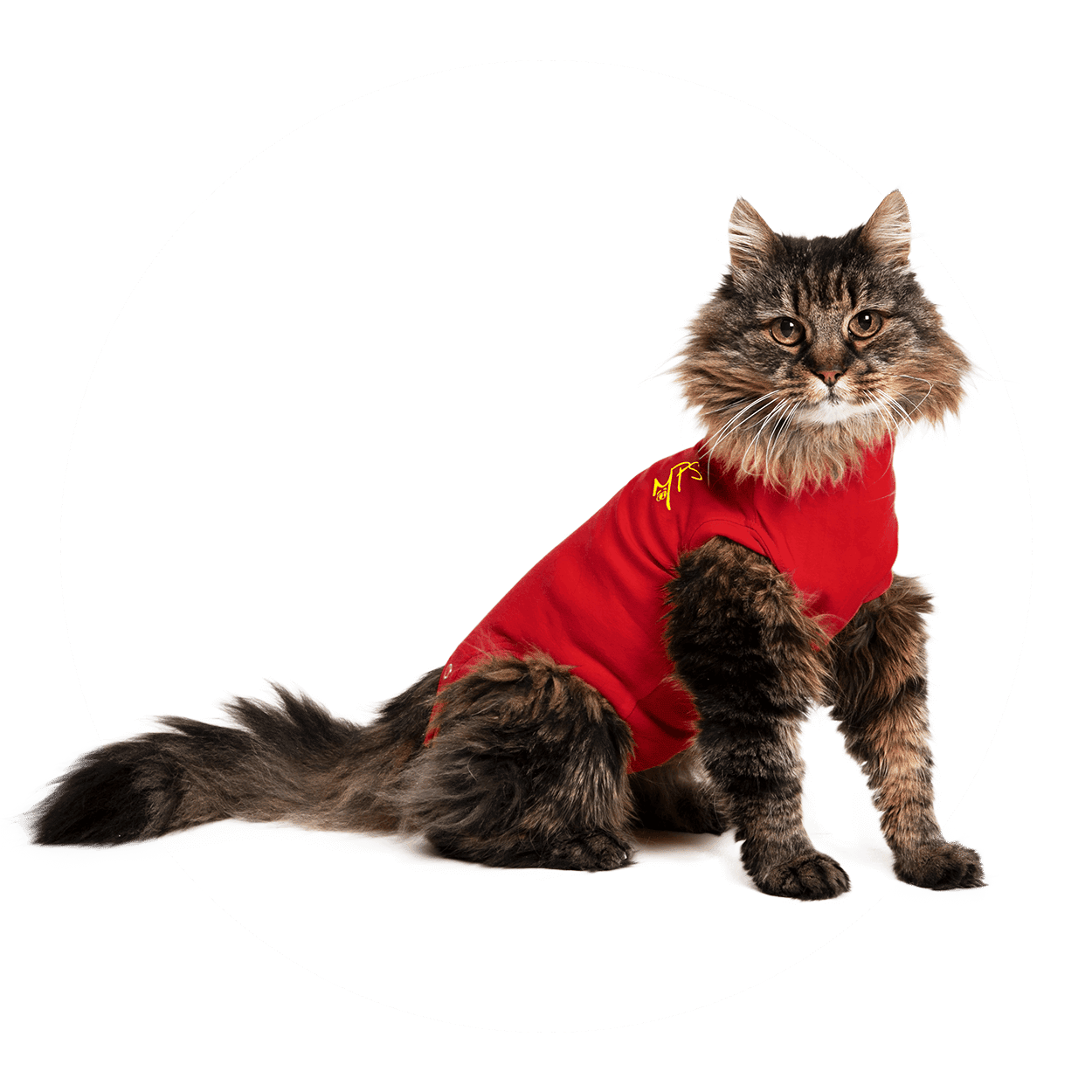 Medical Pet Shirt Kat-1