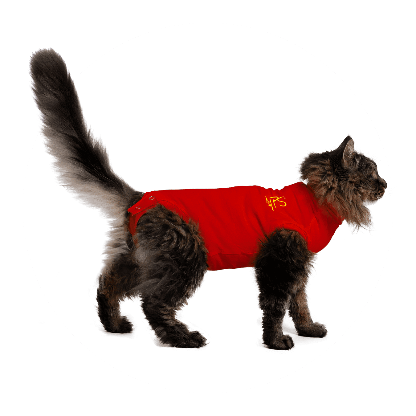 Medical Pet Shirt Kat-2