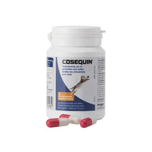 Cosequin capsules kat-1