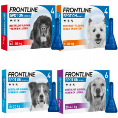 frontline-spot-on-hond-vlooien