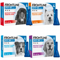 Peregrination zonlicht Uitgestorven Frontline Spot-On hond kopen? Veilig en betrouwbaar bestellen!