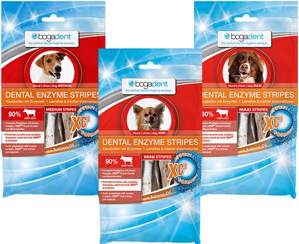 Bogadent Dental Enzyme Stripes – Hond-1