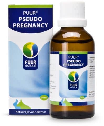 Puur Pseudo Pregnancy-1