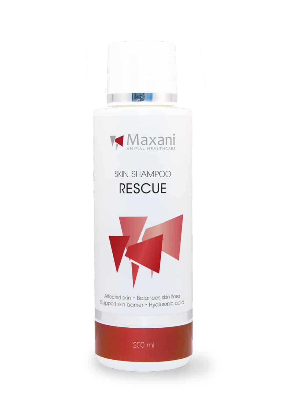 Maxani Rescue shampoo-1