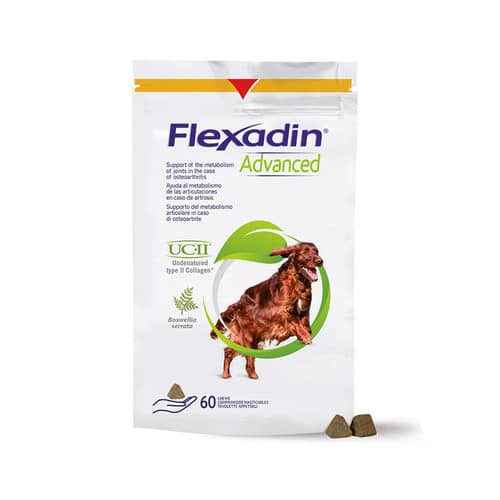 Flexadin Advanced – Hond-2