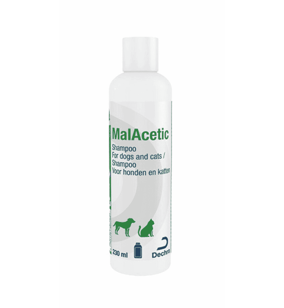 MalAcetic Shampoo-1