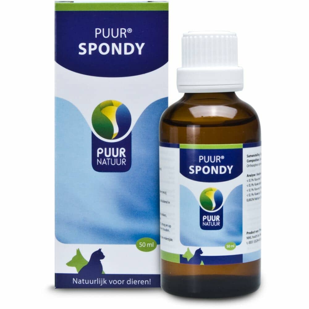 puur-Spondy-hond-kat