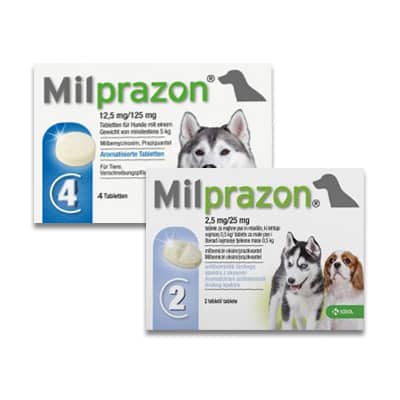 Milprazon Hond-1