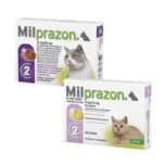 Milprazon-katzen-kitten-Entwurmungsmittel