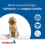 Milbemax Hond
