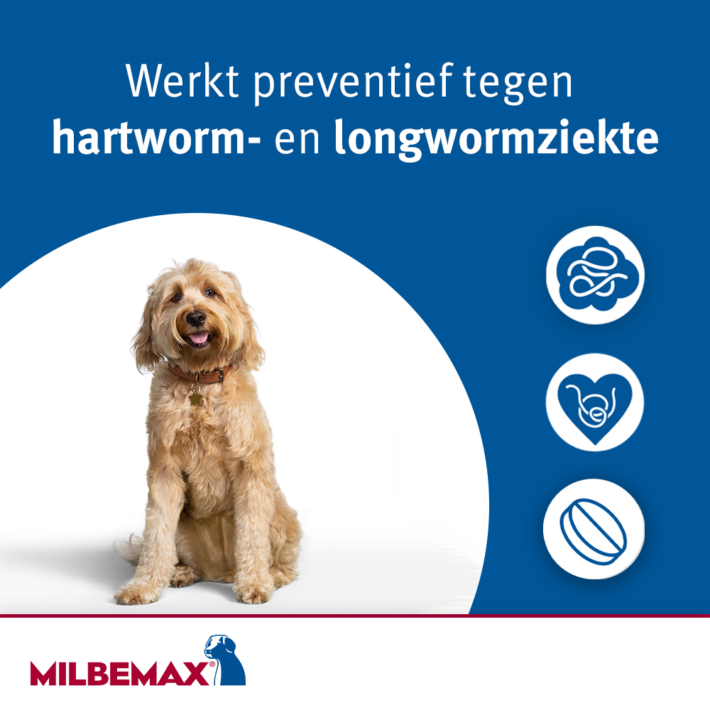 Milbemax Hond-4