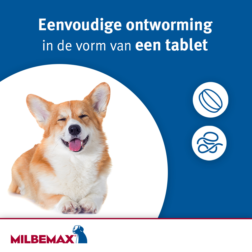 Milbemax Hond-3