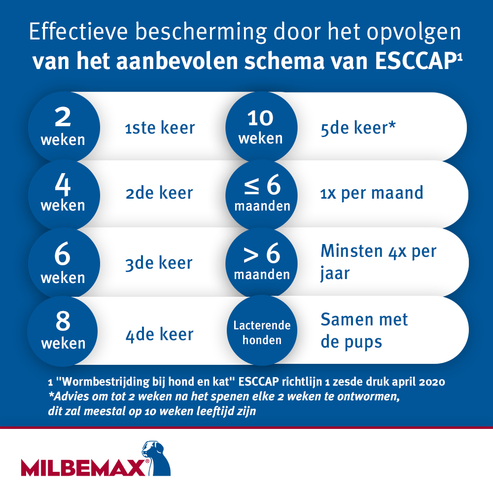Milbemax Hond-6