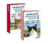 Milbemax-kat-kitten-ontwormingskuur-lintworm-spoelworm-ontworming
