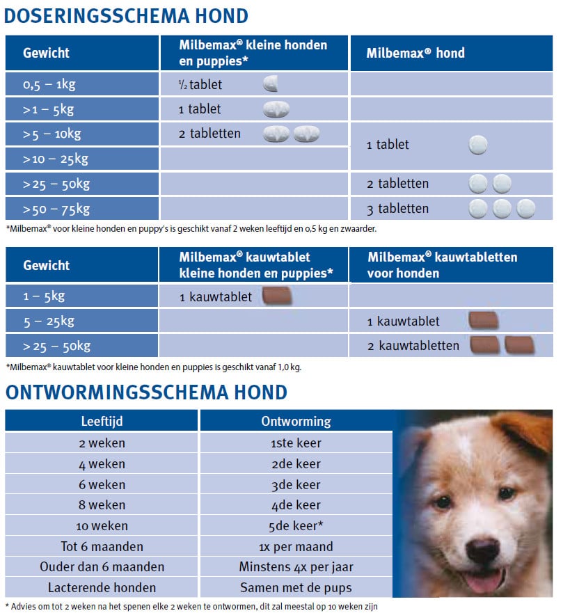 Milbemax Hond-2