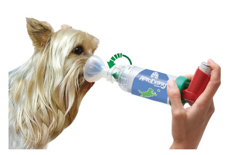 AeroDawg Inhalatiesysteem-2