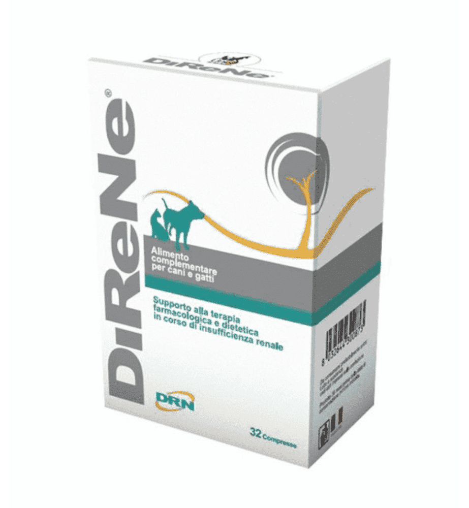 DiReNe-2