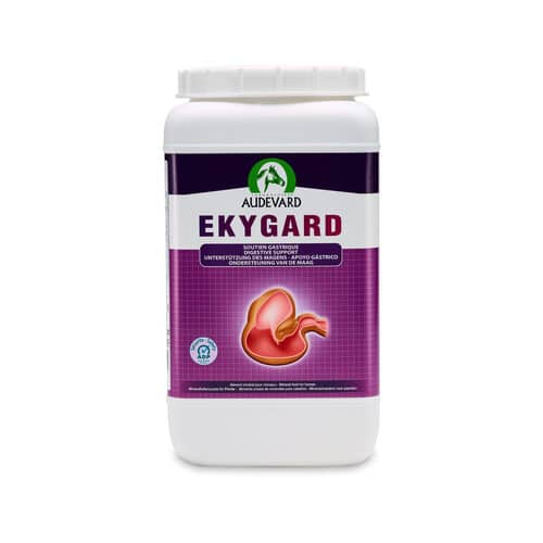 Audevard Ekygard+-1