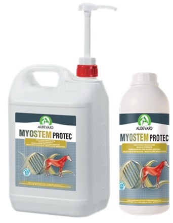 Myostem-Protec-apieren-herstel-paarden