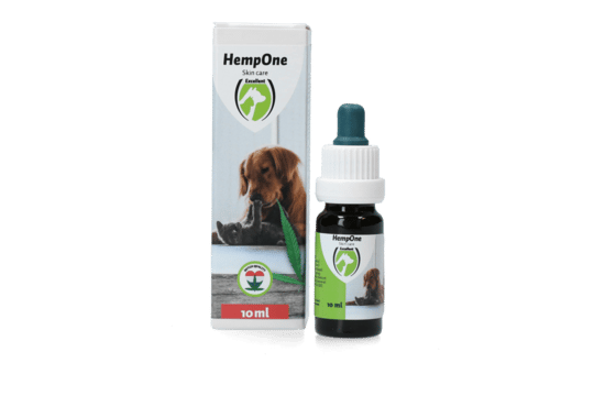 Dierenapotheek.nl HempOne Hond en Kat - 10 ml - CBD Olie