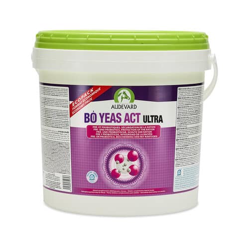 Audevard Bo Yeas Act Ultra-4
