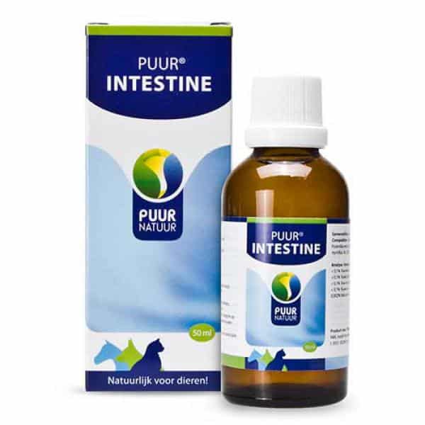 puur-intestine-50-ml