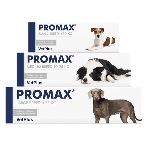 vetplus-promax-klein-middel-groot