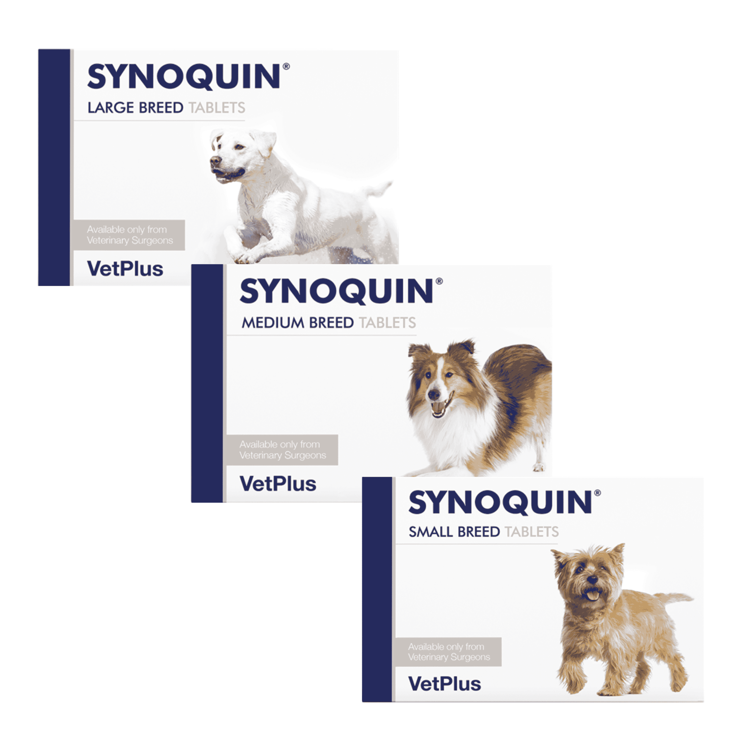 vetplus-synoquin-display