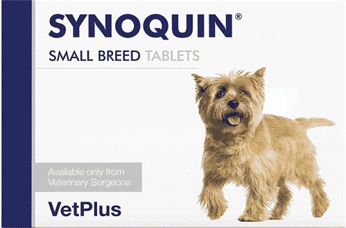 Vetplus Synoquin EFA Hond-2