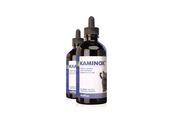 vetplus-Kaminox-nieren-functie-katten