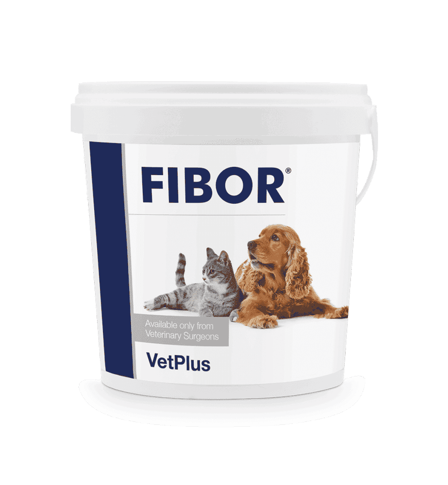 Vetplus Fibor
