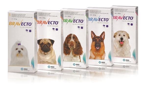 Anoi formaat Aas Bravecto kopen? Jouw online Dierenapotheek met 15 jaar ervaring!